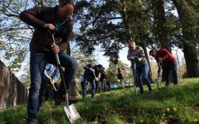 Mitmach-Aktion GREENWEEK – AUS AKTUELLEM ANLASS VERSCHOBEN