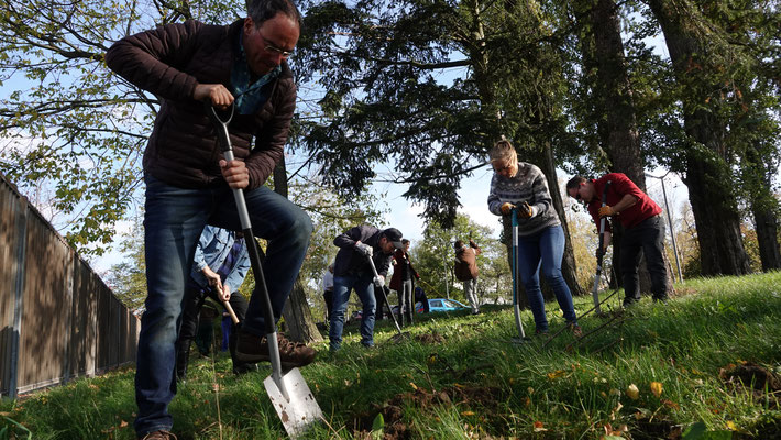 Greenweek-verschoben